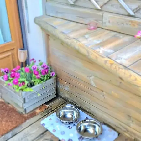 Apartment Coconing Avec Terrasse A 500 M Du *